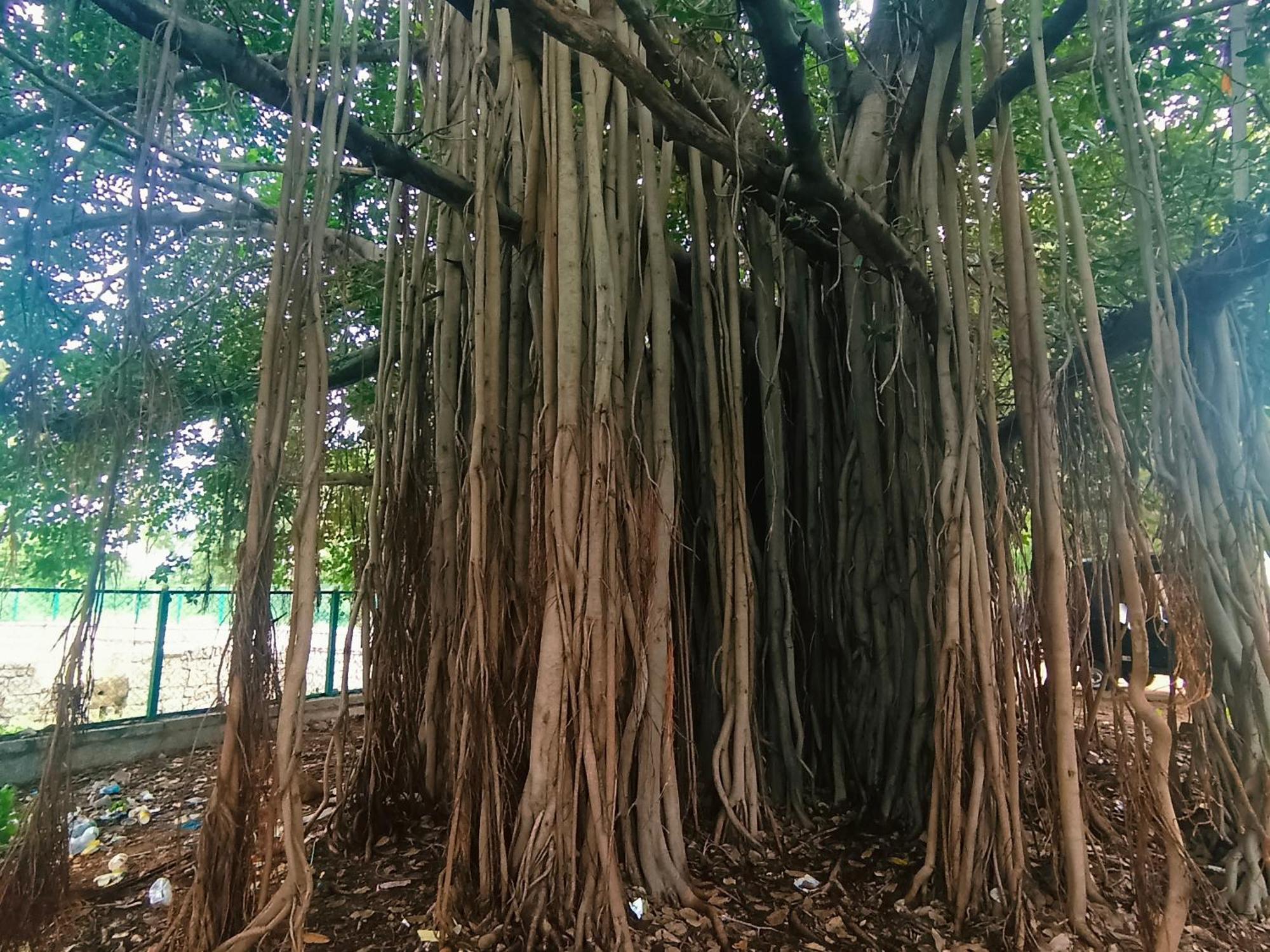 Hampi Anjana Home Stay 外观 照片
